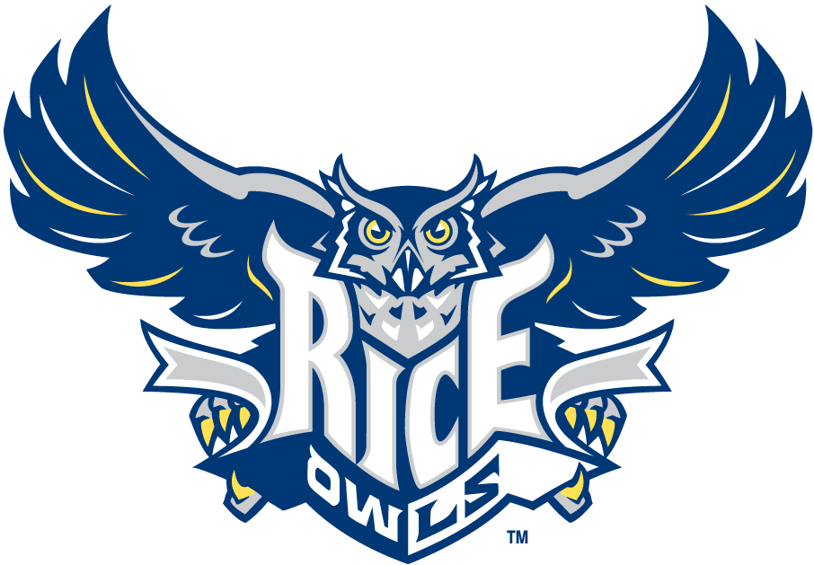 Rice Owls 2003-2009 Primary Logo diy iron on heat transfer